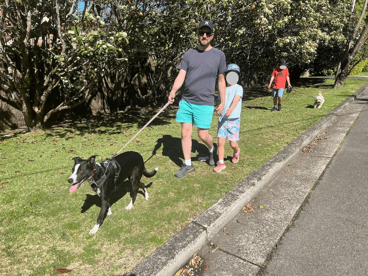 Family dog walking